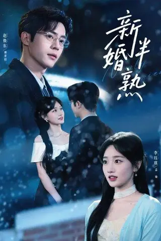 《新婚半熟（68集）赵焕东＆李珏琪（百度网盘）》短剧封面