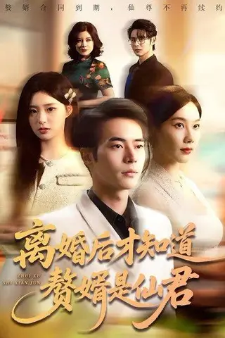 《离婚后才知道赘婿是仙君（66集）赵焕东＆李槿（百度网盘）》短剧封面