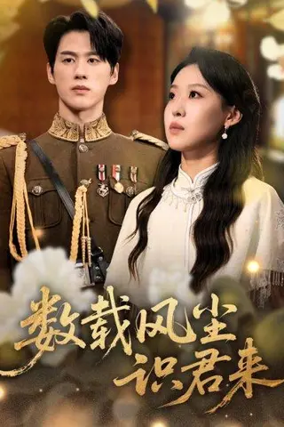 《数载风尘识君来》短剧封面