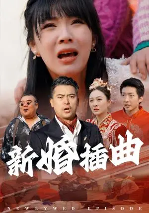 《新婚插曲（29集）（夸克网盘）》短剧封面