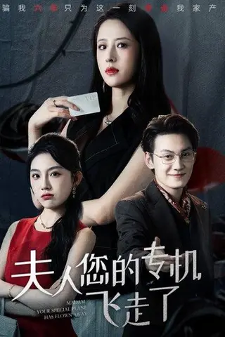 《夫人您的专机飞走了（62集）王婧琦&陈泓龙》短剧封面