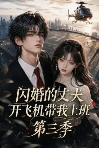 《闪婚的丈夫开飞机带我上班第三季（112集）（夸克网盘）》短剧封面