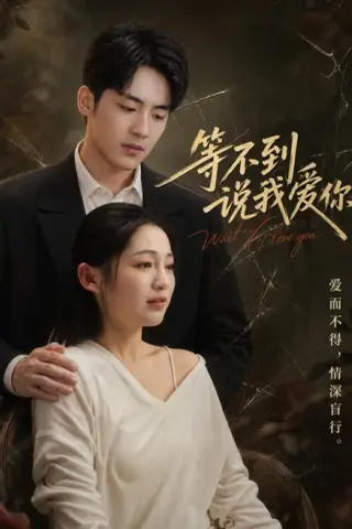 《等不到说我爱你（82集）崔秀子＆蒋文琦（夸克网盘）》短剧封面