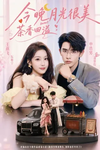 《今晚月光很美，茶香四溢（69集）申浩男＆王燕飞（1080P）（夸克网盘）》短剧封面
