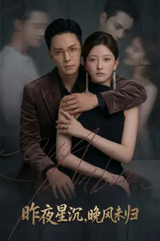 《昨夜星沉，晚风未归（60集）AI短剧 (2026)》短剧封面