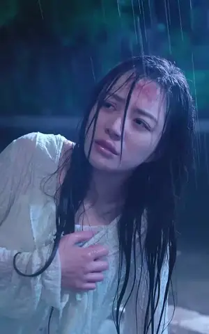 《你是我的心头星（100集）》短剧封面