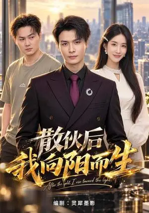 《散伙后我向阳而生（49集）李彬航＆大月亮（夸克网盘）》短剧封面