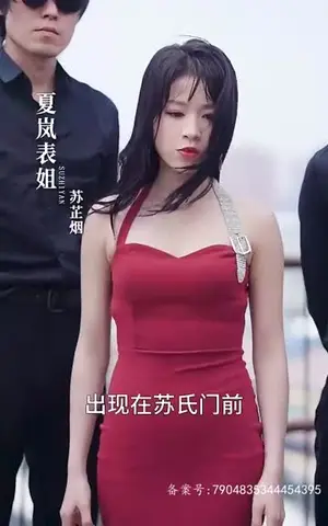 《岚”风知我意(38集)》短剧封面