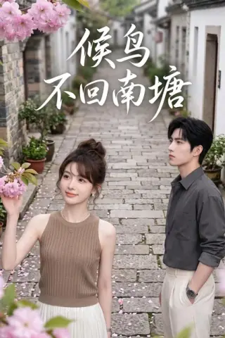 《候鸟不回南塘（65集）（夸克网盘）》短剧封面