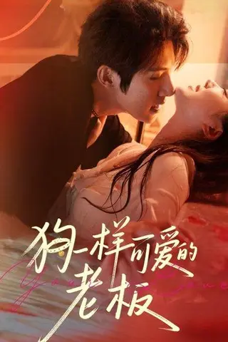 《狗一样可爱的老板》短剧封面