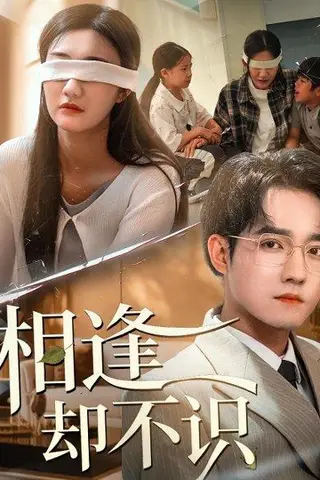 《相逢却不识（77集）》短剧封面
