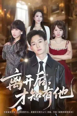 《离开后，才知有他（73集）刘子铭&陈小满（夸克网盘）》短剧封面