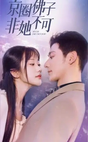《天使爱美丽（31集）（夸克网盘）》短剧封面