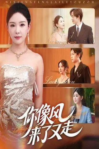 《你像风来了又走》短剧封面