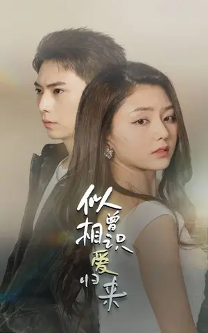 《似曾相识爱归来》短剧封面