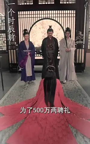 《不负云意（95集）》短剧封面
