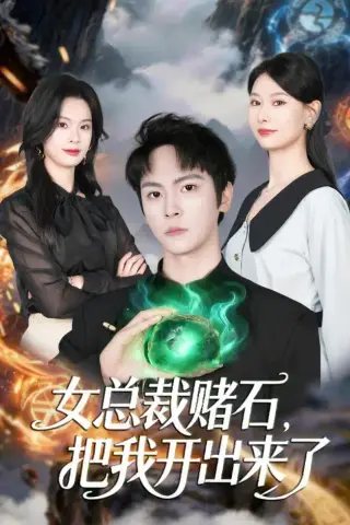 《女总裁赌石，把我开出来了（76集）李硕＆杨静怡（夸克网盘）》短剧封面