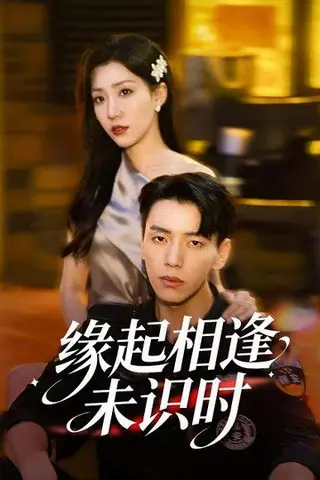 《缘起相逢未识时（57集）》短剧封面
