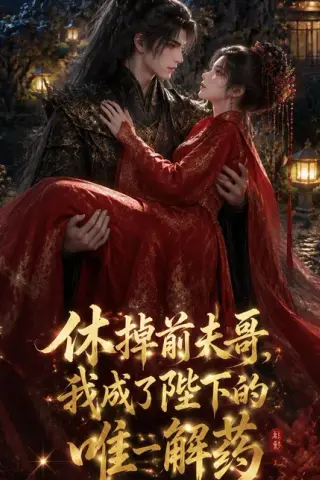 《休掉前夫哥，我成了陛下的唯一解药（31集）（百度网盘）》短剧封面