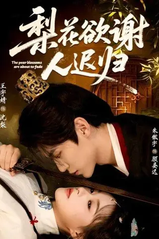 《梨花欲谢人迟归（60集）》短剧封面