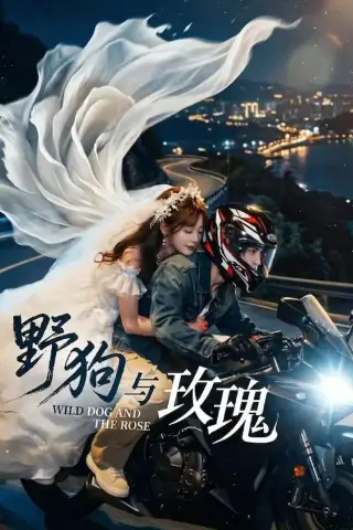 《野狗与玫瑰（30集）（夸克网盘）》短剧封面