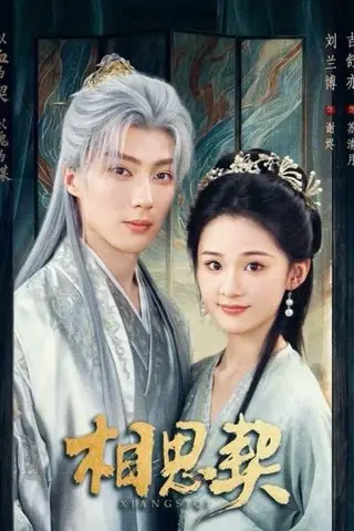 《相思契（74集）刘兰博＆吉舒亦（百度网盘）》短剧封面