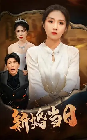 《新婚当日（38集）（夸克网盘）》短剧封面