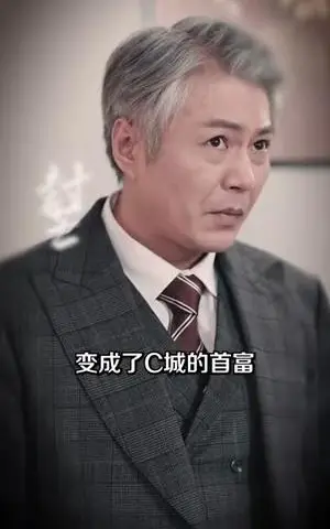 《家族暗战（83集）王慧龙＆张灿&陈文君（夸克网盘）》短剧封面