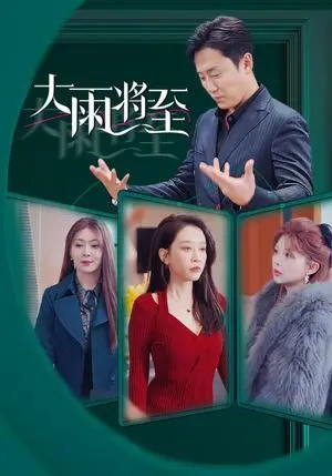 《大雨将至（43集）（夸克网盘）》短剧封面