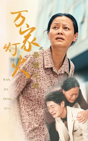 《万家灯火之母爱无边》短剧封面