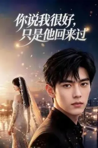 《你说我很好，只是他回来过（83集）AI短剧（夸克网盘）》短剧封面