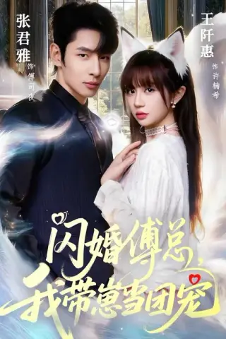《闪婚傅总，我带崽当团宠（85集）张君雅＆王阡惠（百度网盘）》短剧封面