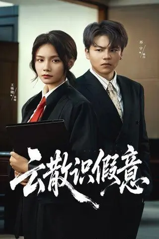 《云散识假意》短剧封面