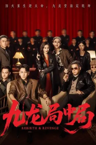 《九龙局中局（71集）刘龙泽&南书》短剧封面
