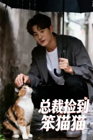 《总裁捡到笨猫猫（41集）AI短剧 (2026)》短剧封面