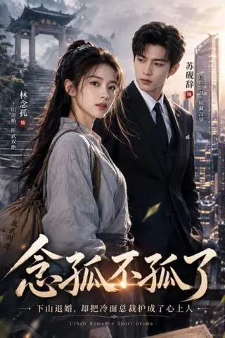《念孤不孤了（85集）AI短剧（百度网盘）》短剧封面
