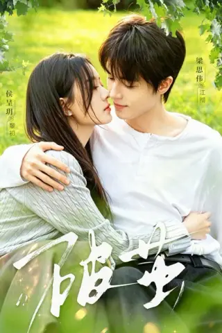 《破茧（76集）梁思伟＆侯呈玥（1080P） (2026)》短剧封面
