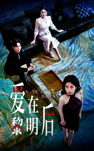 《爱在黎明后（40集）》短剧封面