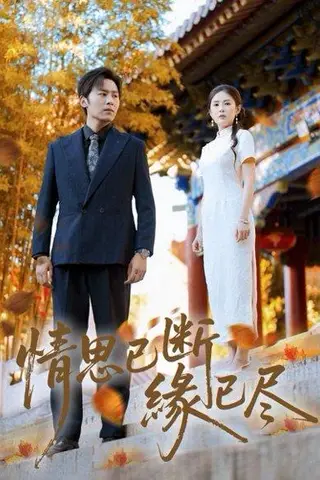 《情思已断缘已尽》短剧封面