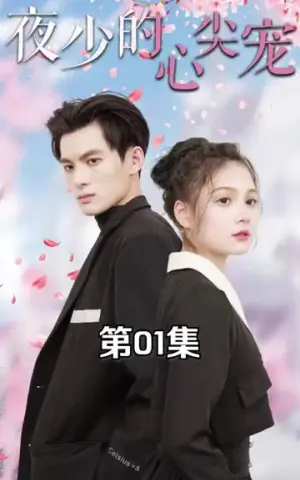 《夜少的心尖宠（94集）》短剧封面