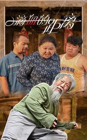 《城北暖洋洋（60集）（夸克网盘）》短剧封面