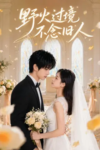 《野火过境不念旧人（60集）（百度网盘）》短剧封面