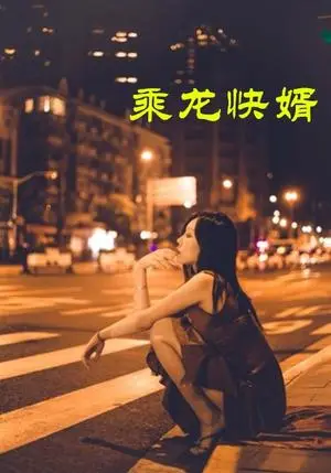 《乘龙快婿（30集）擦边剧（迅雷网盘）》短剧封面