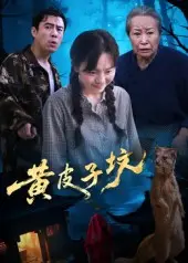 《黄皮子坟（35集）》短剧封面