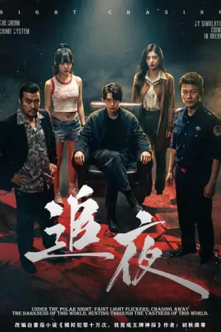 《追夜（70集）林沐＆王美淇（1080P）（百度网盘）》短剧封面