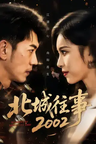 《北城往事2002（60集）李泉成＆金瑶（夸克网盘）》短剧封面