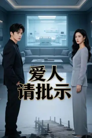 《爱人请批示（49集）AI短剧（百度网盘）》短剧封面