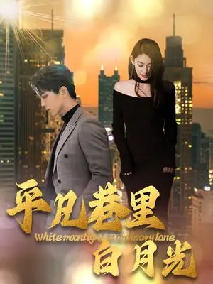 《平凡巷里白月光（33集）（夸克网盘）》短剧封面