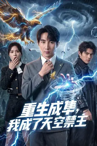 《重生成隼，我成了天空禁主（68集）刘飞＆思雨（夸克网盘）》短剧封面