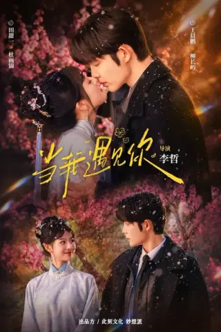 《当我遇见你（70集）王晨鹏＆田甜一（1080P）（夸克网盘）》短剧封面
